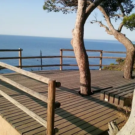 Lejlighed Casa Cb11